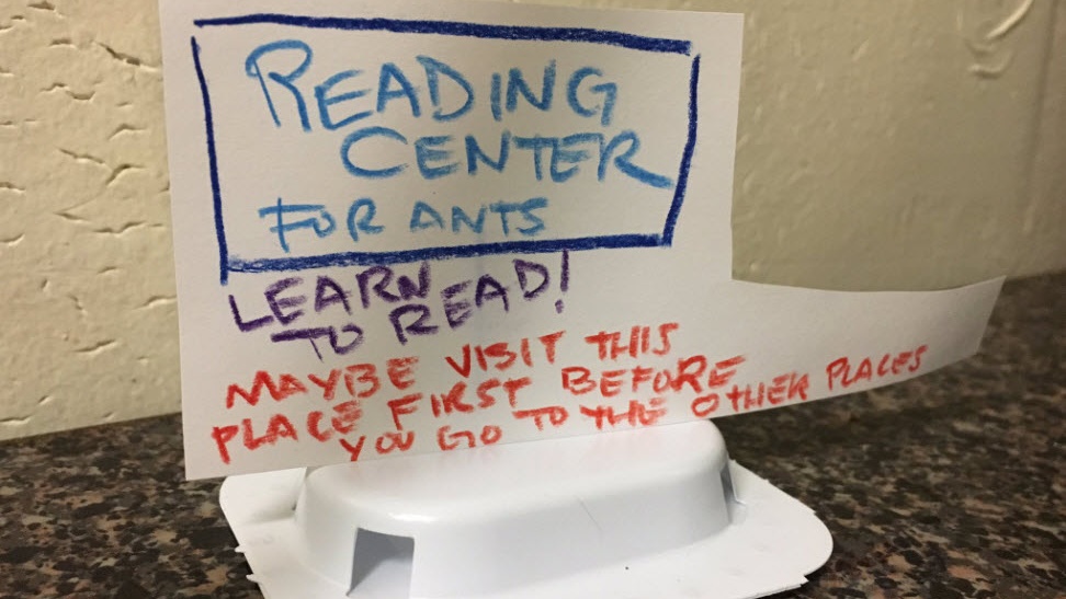 reading center for ants