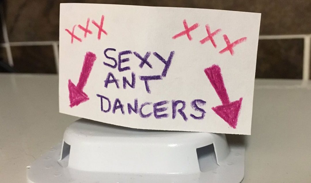 sexy ant dancers